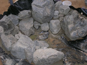おおまかな形を作って防水シートを敷設、石は回して「見栄えよく」「自然に見えるように」組んでいきます。